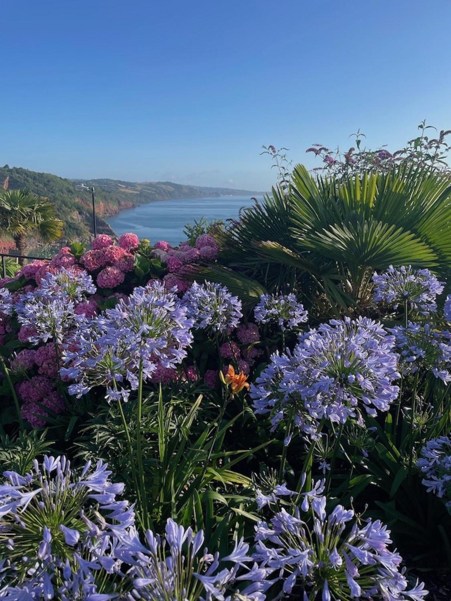 Headland View Boutique B&B ทอร์คิ ภายนอก รูปภาพ